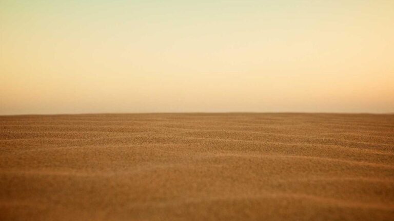 Is Cricbet99 A Real Or Fake Website?